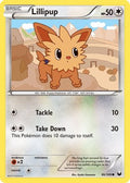 Lillipup  - Reverse Holofoil Dark Explorers - Common