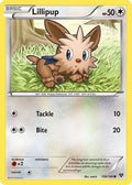 Lillipup  XY Base Set - Common