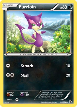 Purrloin  Black and White - Common