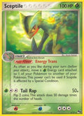 Sceptile  - Holofoil POP Series 4 - Rare