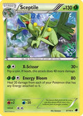 Sceptile  - Holofoil Plasma Freeze - Holo Rare