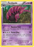 Scolipede  XY Base Set - Rare
