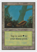 Forest (A) (2ED-) - Unlimited Edition