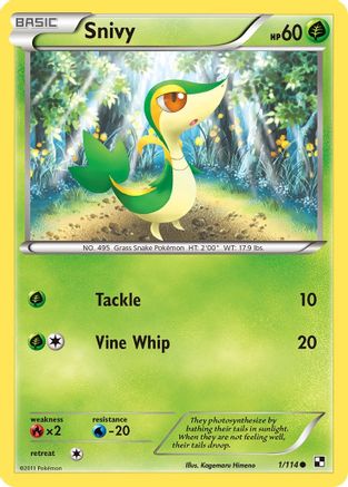 Snivy (1) (1) 001  - Reverse Holofoil Black and White - Common