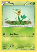 Snivy (2)  Black and White - Common
