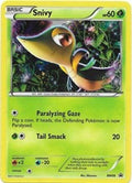 Snivy - BW06  - Holofoil Black and White Promos - Promo