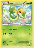 Snivy  Boundaries Crossed - Common