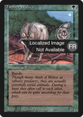 Timber Wolves (FBB-) - Foreign Black Border