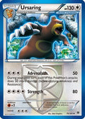 Ursaring (Team Plasma) 076  Plasma Blast - Uncommon