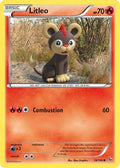 Litleo (18) (18) 018  XY  Flashfire - Common