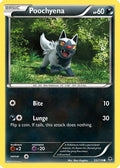 Poochyena 053  - Reverse Holofoil XY  Phantom Forces - Common