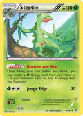 Sceptile 008  - Reverse Holofoil XY  Primal Clash - Rare