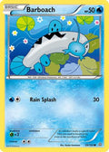 Barboach  XY  Primal Clash - Common