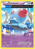 Tentacool (Alpha) 071  - Reverse Holofoil XY  Primal Clash - Uncommon