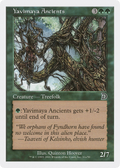 Yavimaya Ancients (31a) (DKM-31A) - Deckmasters