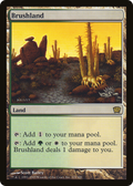Brushland (9ED-319) - 9th Edition Foil