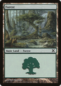 Forest (382) (10E-382) - Tenth Edition