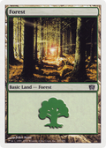 Forest (347) (8ED-347) - 8th Edition Foil