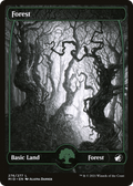 Forest (276) (MID-276) - Innistrad: Midnight Hunt: (Full Art, Showcase)