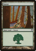 Forest (71) (DDE-071) - Duel Decks: Phyrexia vs. the Coalition