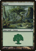 Forest (304) (CHK-304) - Champions of Kamigawa