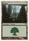 Forest (Italian) - "Foresta" (K23) (PSAL-K23) - Salvat 2005