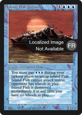 Island Fish Jasconius (FBB-) - Foreign Black Border
