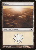 Plains (365) (10E-365) - Tenth Edition Foil