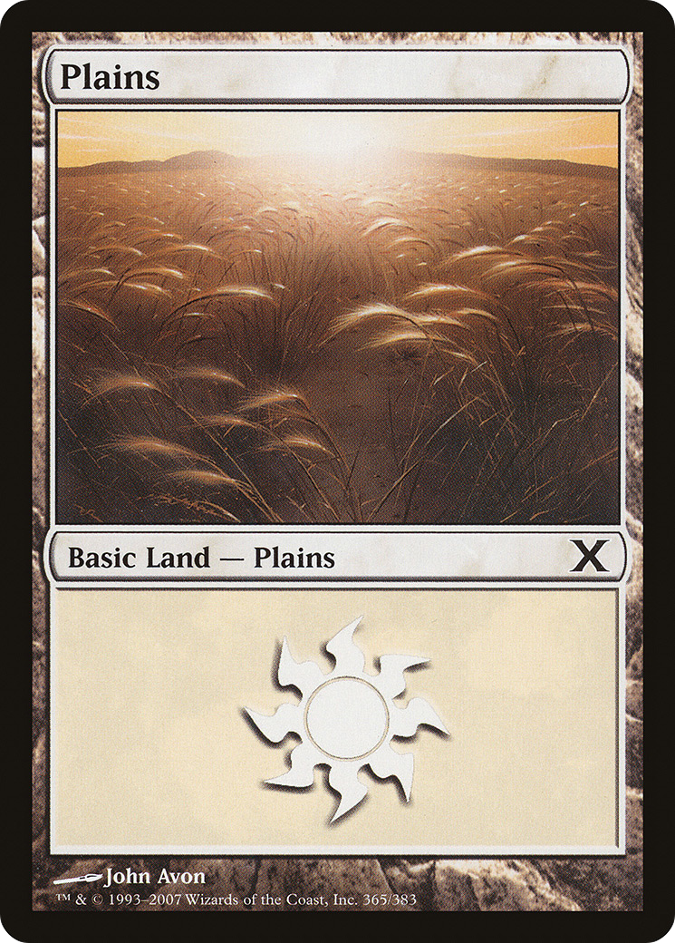 Plains (365) (10E-365) - Tenth Edition Foil
