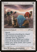 Camel (ARN-) - Arabian Nights