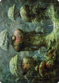 Forest // Forest (ADMU-065) - Dominaria United Art Series (Borderless) Foil