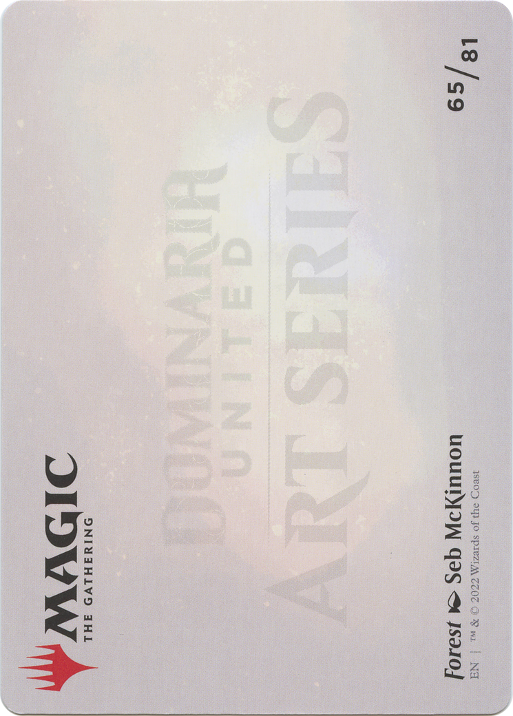 Forest // Forest (ADMU-065) - Dominaria United Art Series (Borderless) Foil