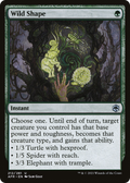 Wild Shape (AFR-212) - Adventures in the Forgotten Realms