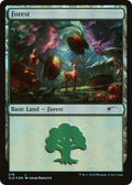 Forest (578) (SLD-578) - Secret Lair Drop Foil