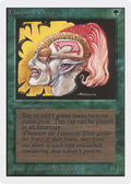 Llanowar Elves (2ED-) - Unlimited Edition